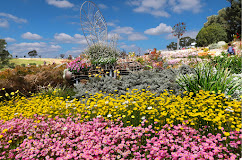 NDMHS: Australian Botanic Garden Mount Annan