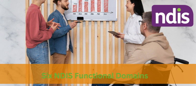 Six NDIS Functional Domains