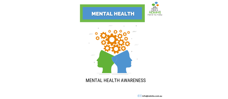 NDMHS Mental Health Challenges