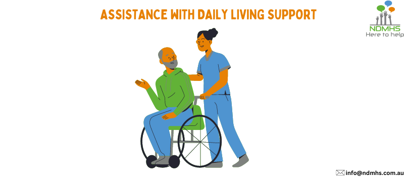 Caregiver assisting a person in a wheelchair with daily living support, accompanied by the text 'Assistance with Daily Living Support' and the NDMHS logo in the corner